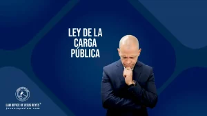 Ley de la carga pública