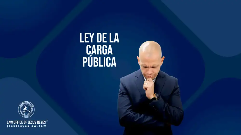 Ley de la carga pública