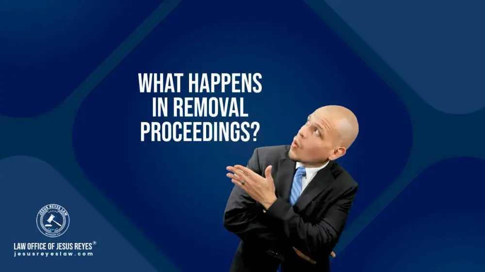What happens in removal proceedings?