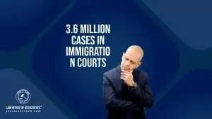 3.6 Million cases in immigration courts