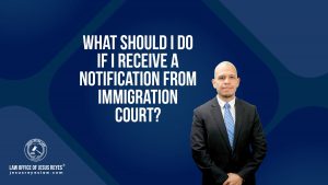 What should I do if I receive a notification from immigration court